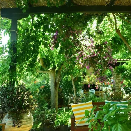 Sparto Village *
