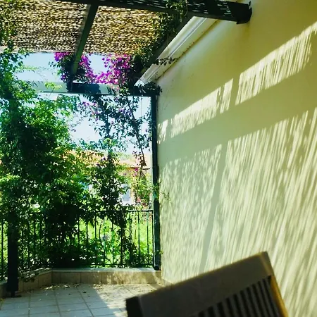 Sparto Village