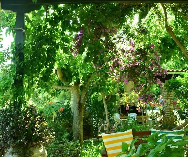 Sparto Village *